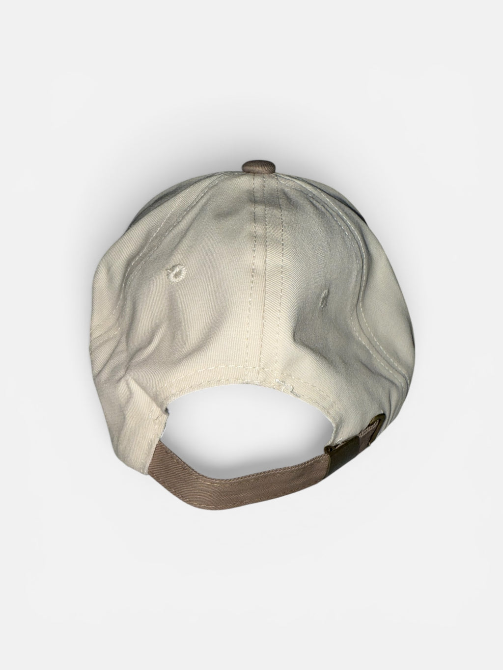 Raising Believers Hat